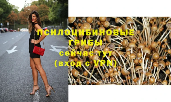 соль курить ск Кукмор