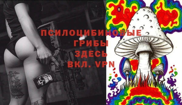 шишки Кулебаки
