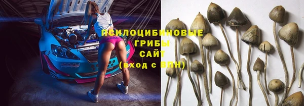 спайс Богородицк