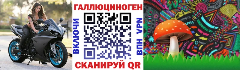 Галлюциногенные грибы MAGIC MUSHROOMS  Болгар 